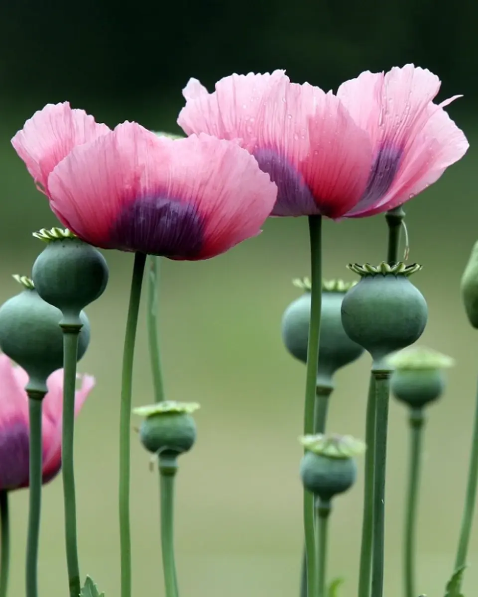 Login to your account